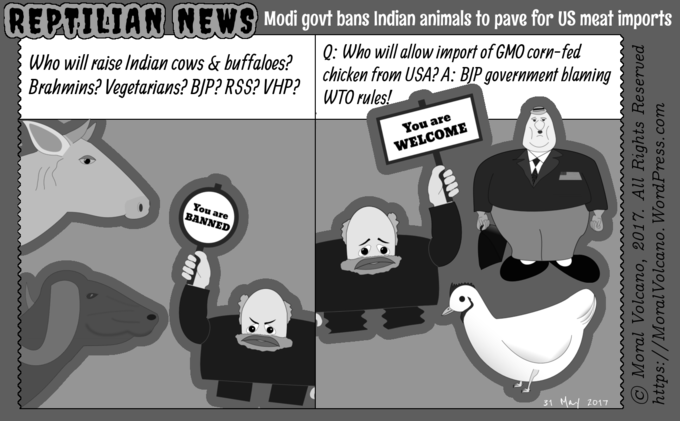 Reptilian News cartoon: Modi government's ban on Indian farm animals is imposed to facilitate the disappearance of various native breeds of Indian farm animals so that we can all become customers of GMO, pesticide and antibiotic-rich US meat imports